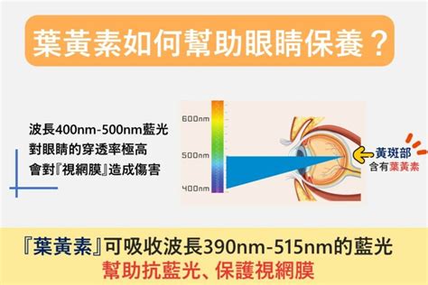 黃色眼睛 品牌|【2024眼科醫師分析】10大葉黃素推薦品牌排名，到。